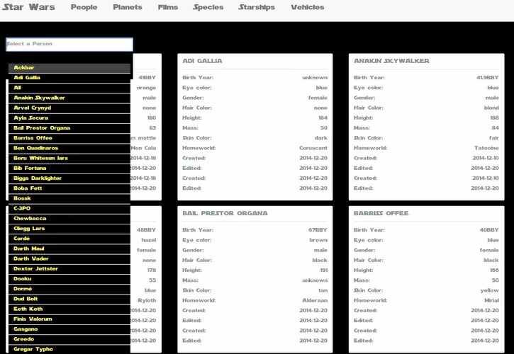 Project preview